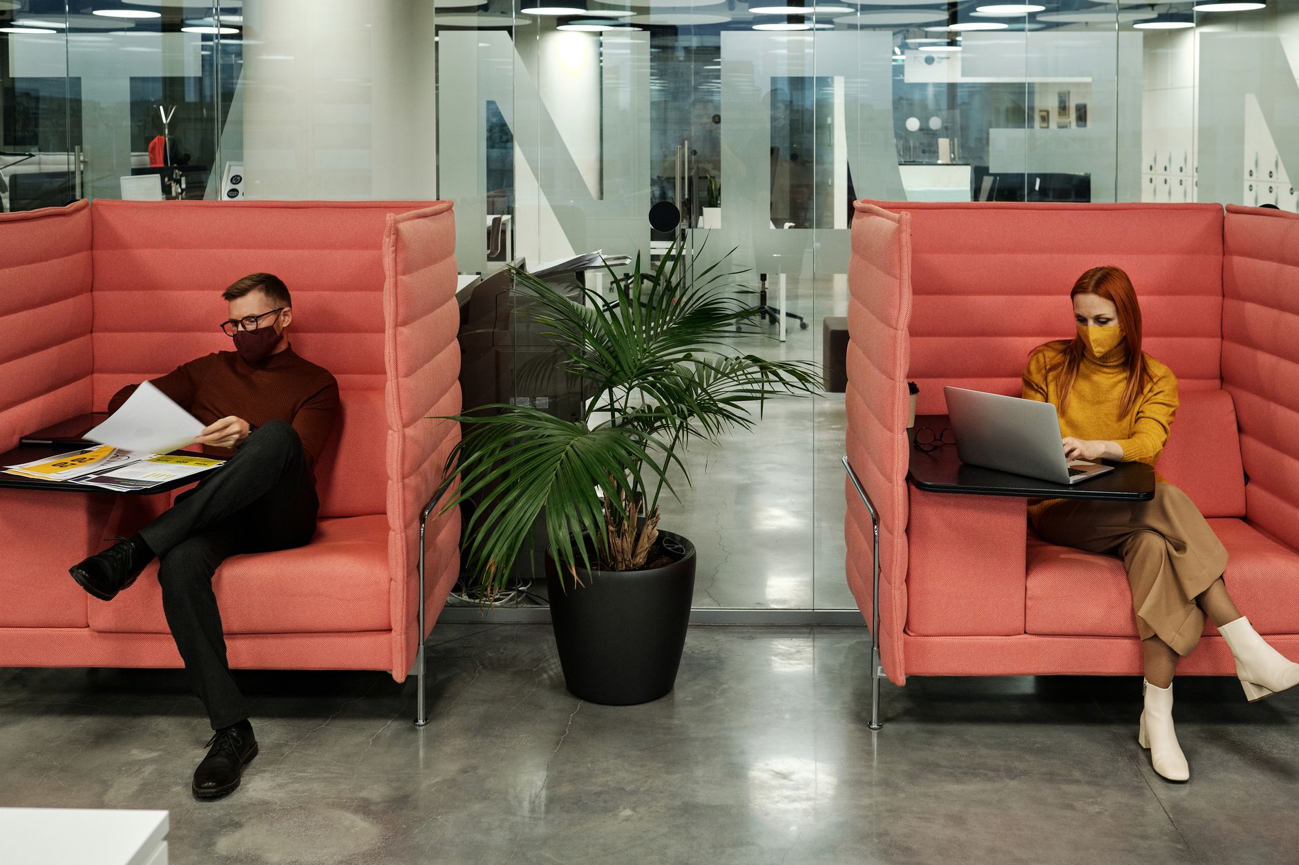 Two people in modern office booths wearing face masks, working on documents and laptop, maintaining focus.