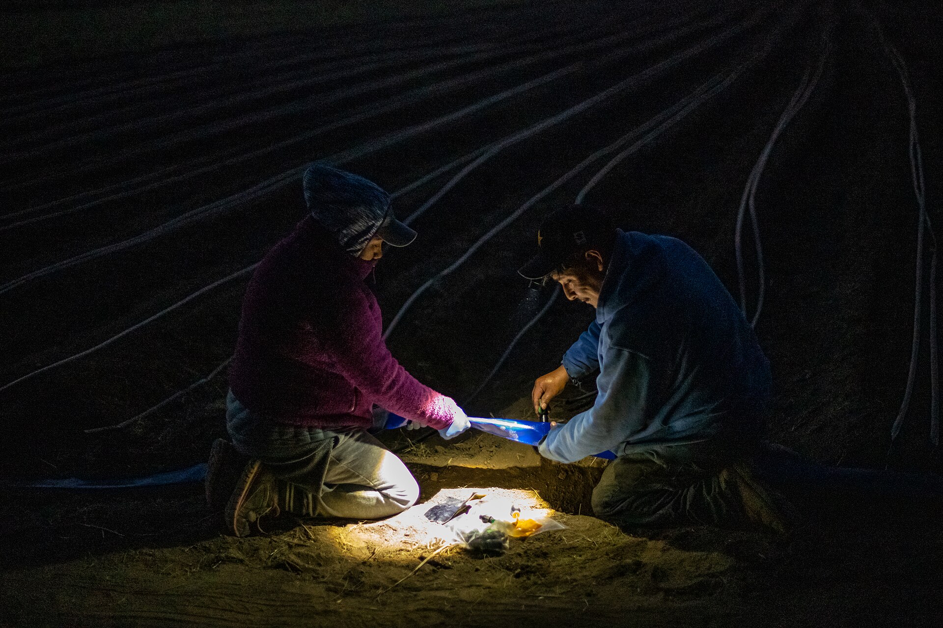 The sun may have gone down, but that does not stop new and beginning farmers from getting a micro irrigation installation done, as they g…